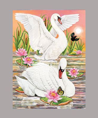 Two Swans at sunset by R. Solomon
