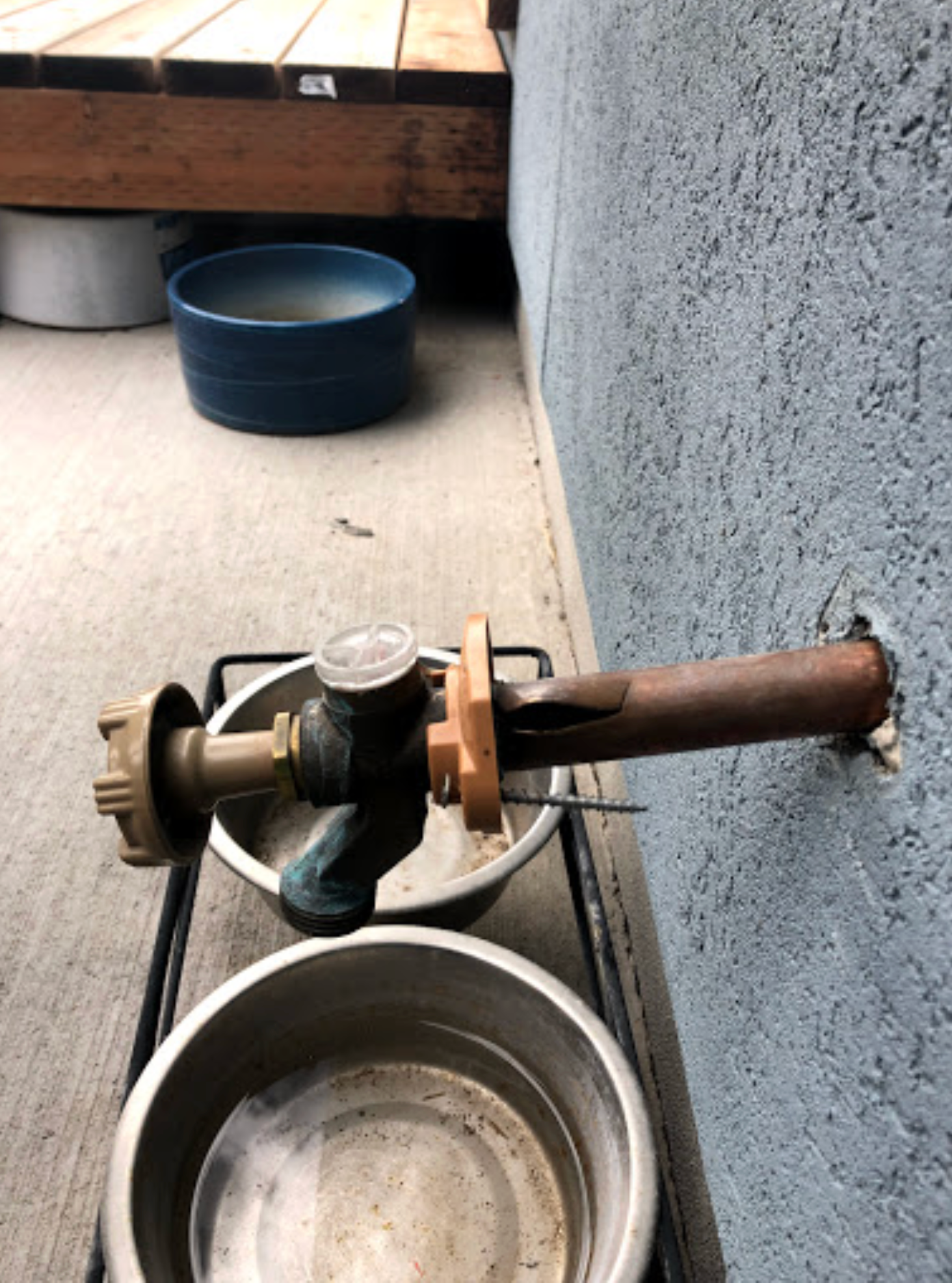 A bowl of water is sitting on a stove next to a faucet.