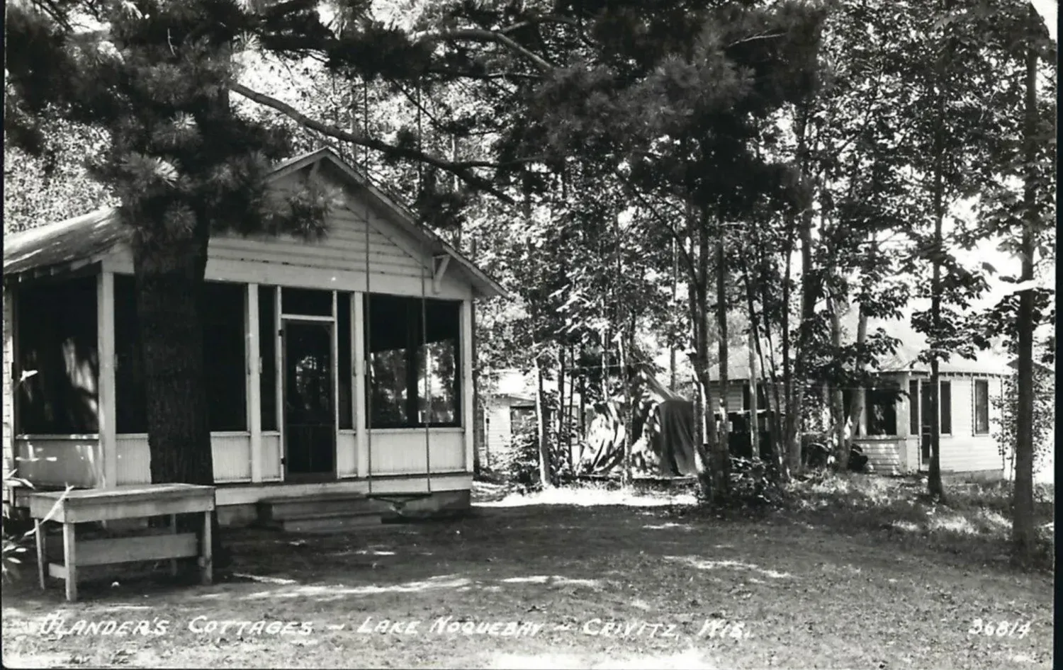Cabins at Anderson's Camp, Lake Kabetogama, MN, in black and white. Screened porches, surrounded by trees.