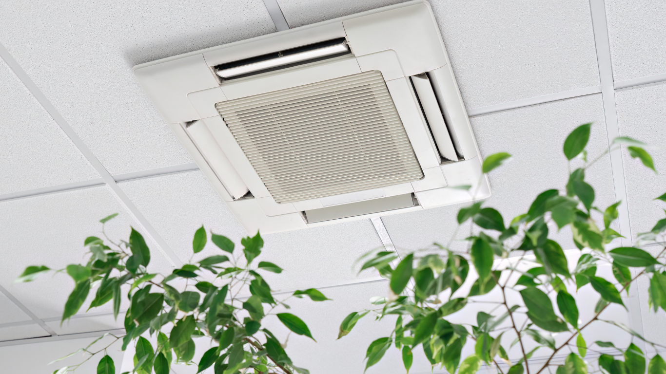 A plant is growing next to a ceiling fan.