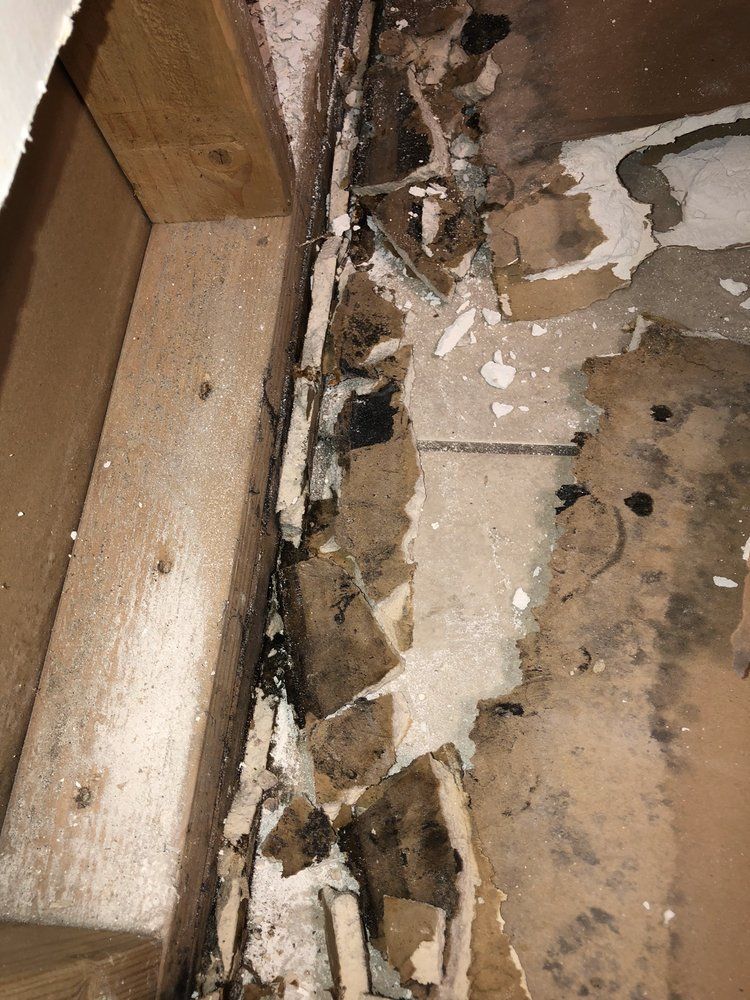 A close up of a wall with a lot of pieces of paper on it.