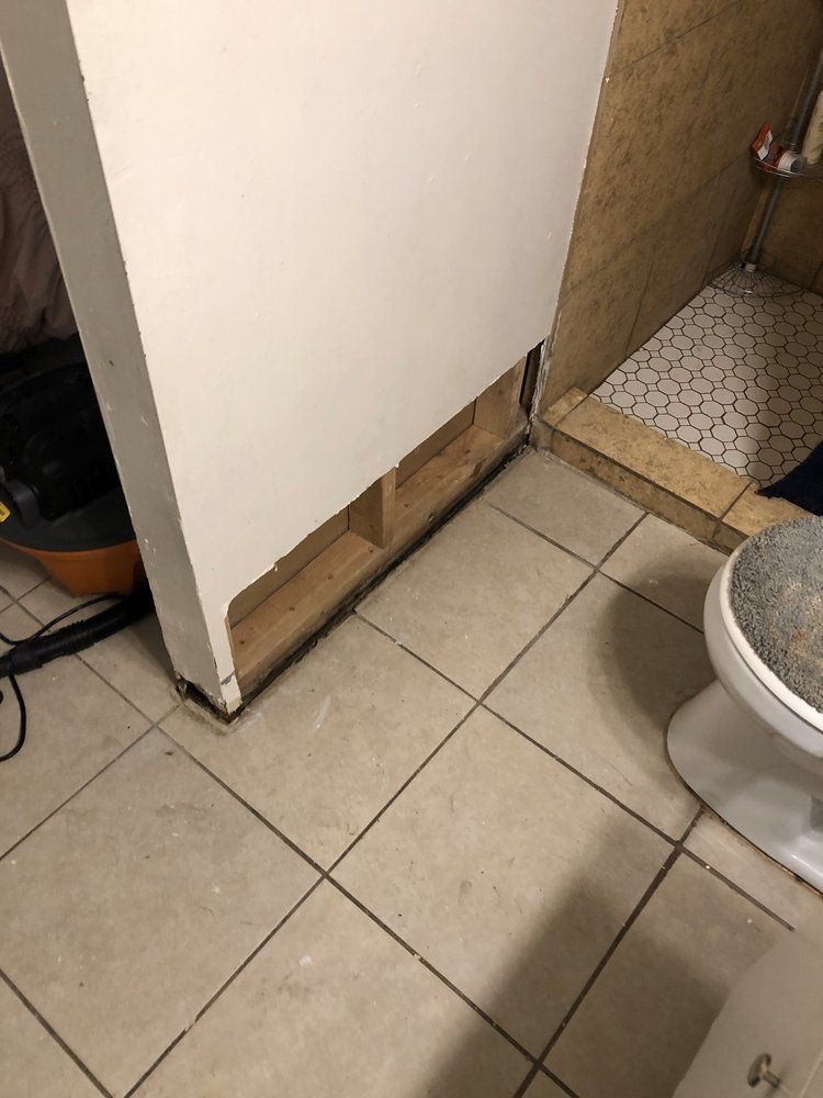 A bathroom with a toilet and a vacuum cleaner on the floor.