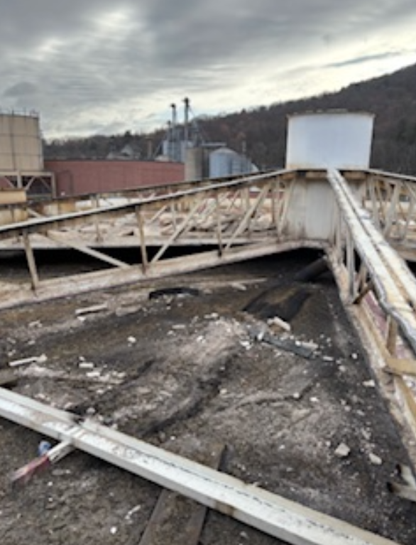 Digester lid to be cut up by Empire Services team.