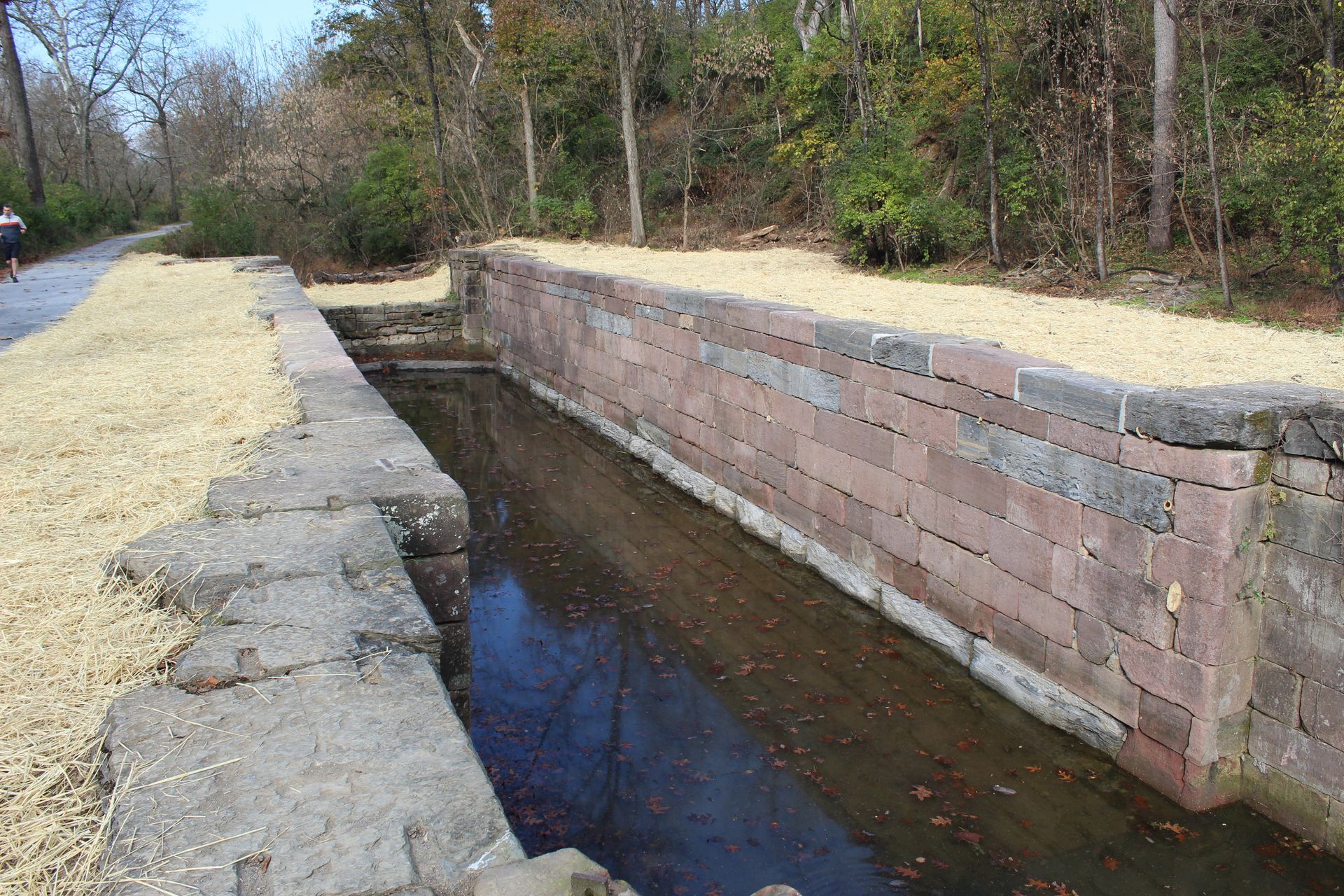 A brick wall surrounds a body of water in the middle of a forest.