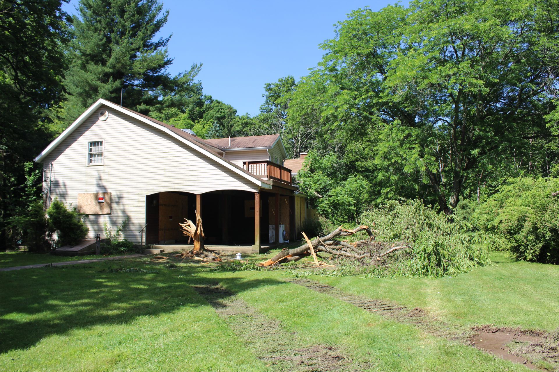 A house with a lot of trees in front of it