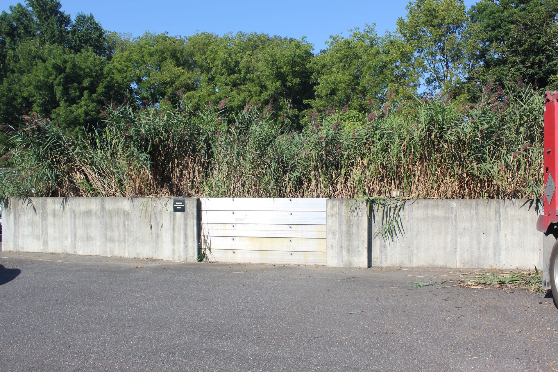 Reeds to be removed.