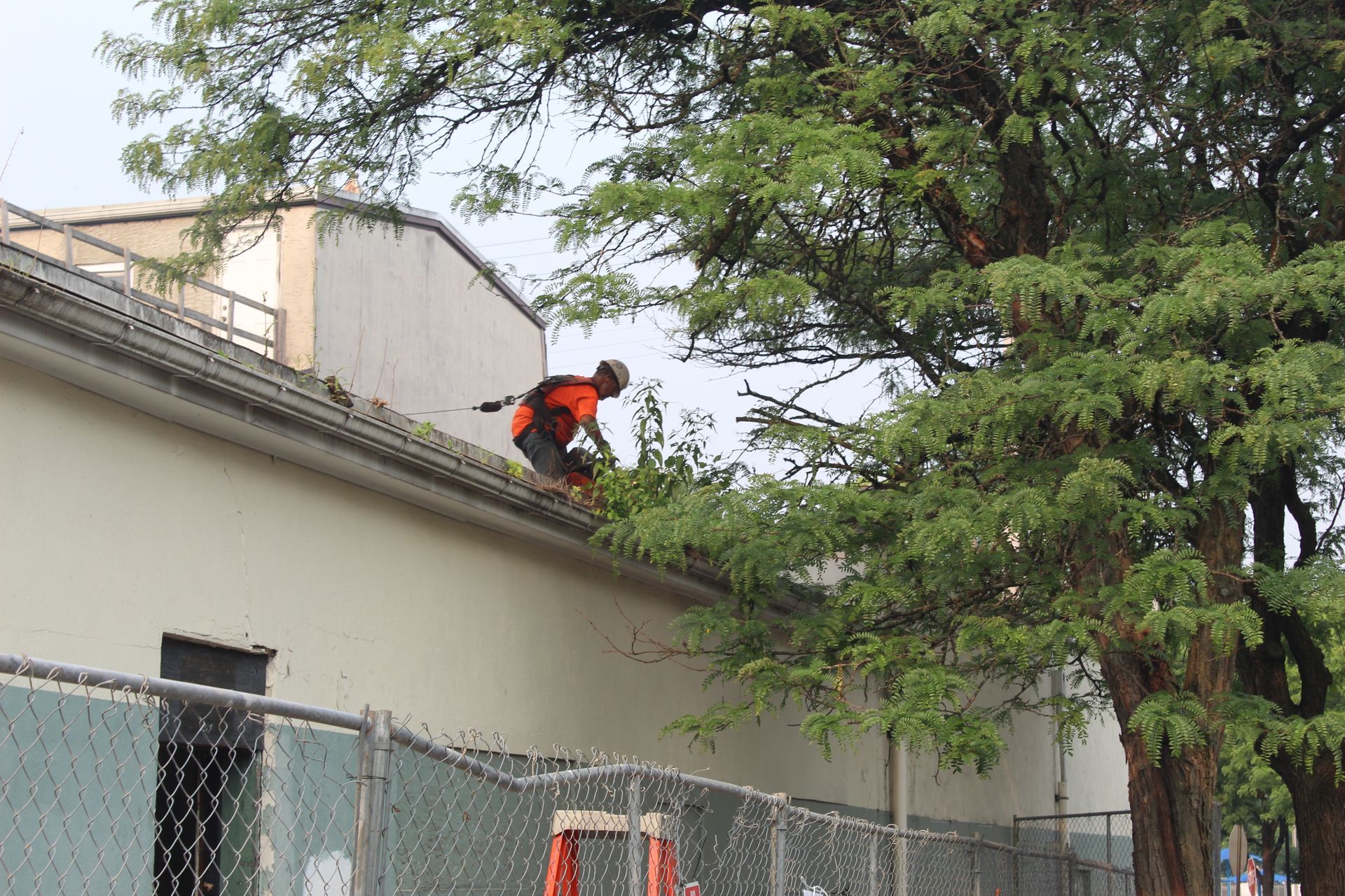 Last phase of the demolition project - removing the roof of the garage. 