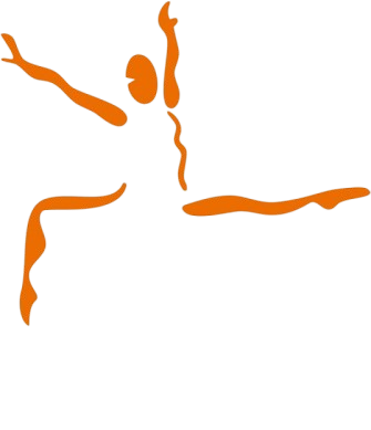 Logo Palestra Ponte Rosso