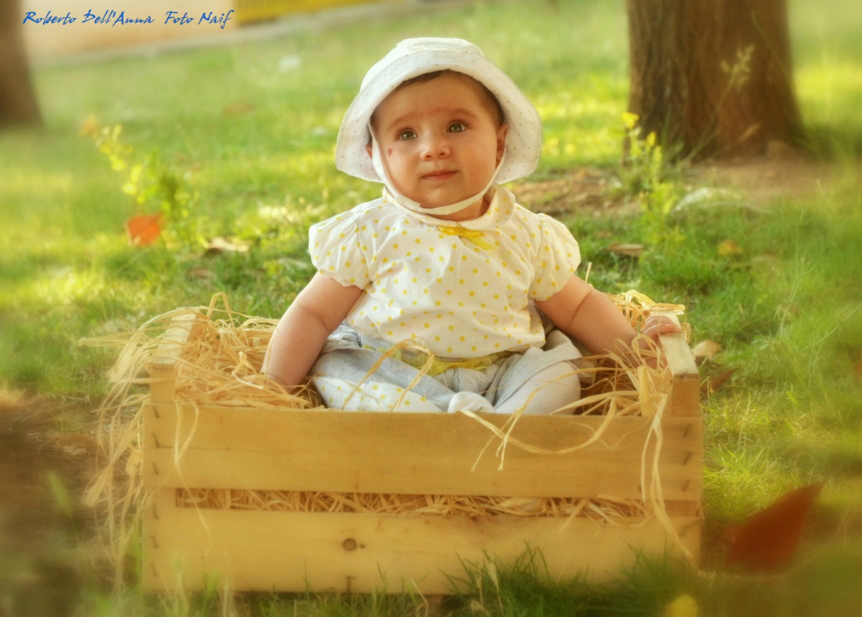 Un bambino è seduto in una scatola di legno sull'erba.