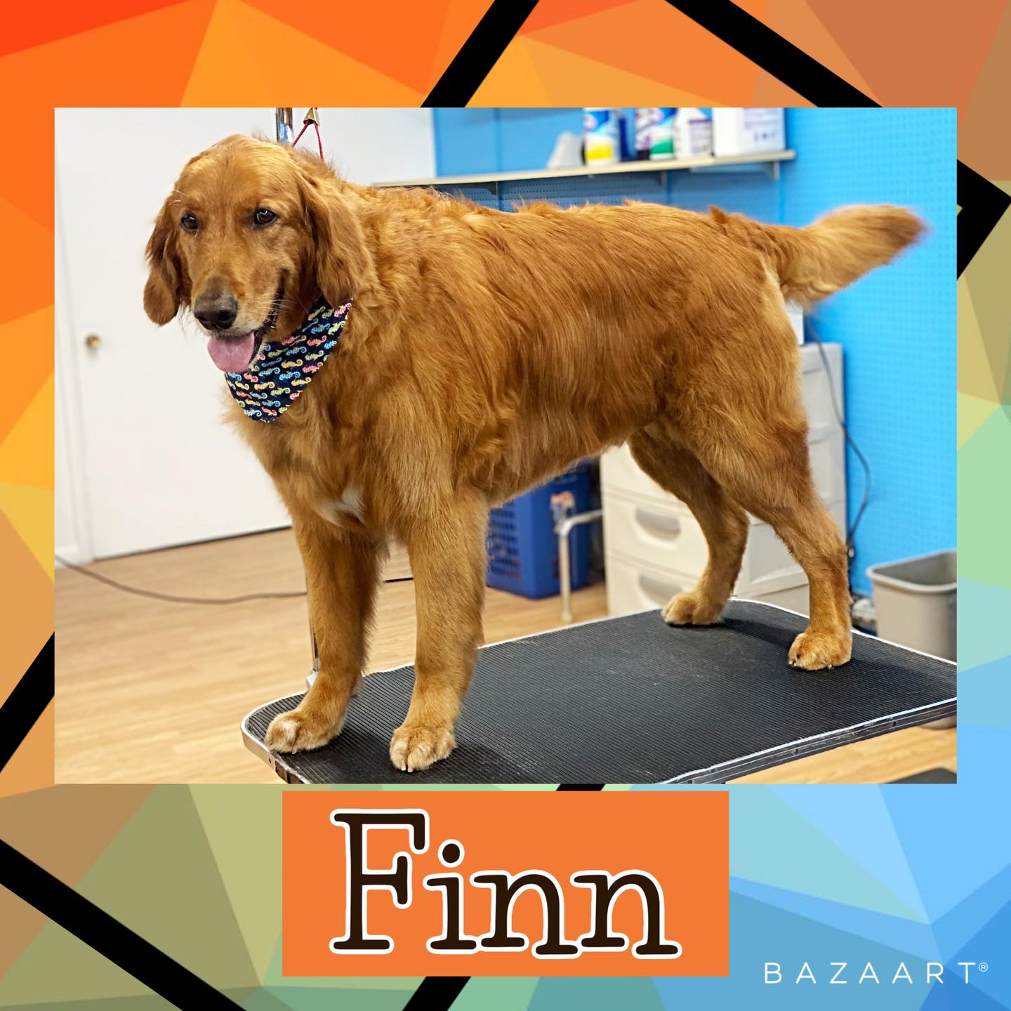 A Brown Dog Finn — Idaho Falls, ID — Class Act Grooming