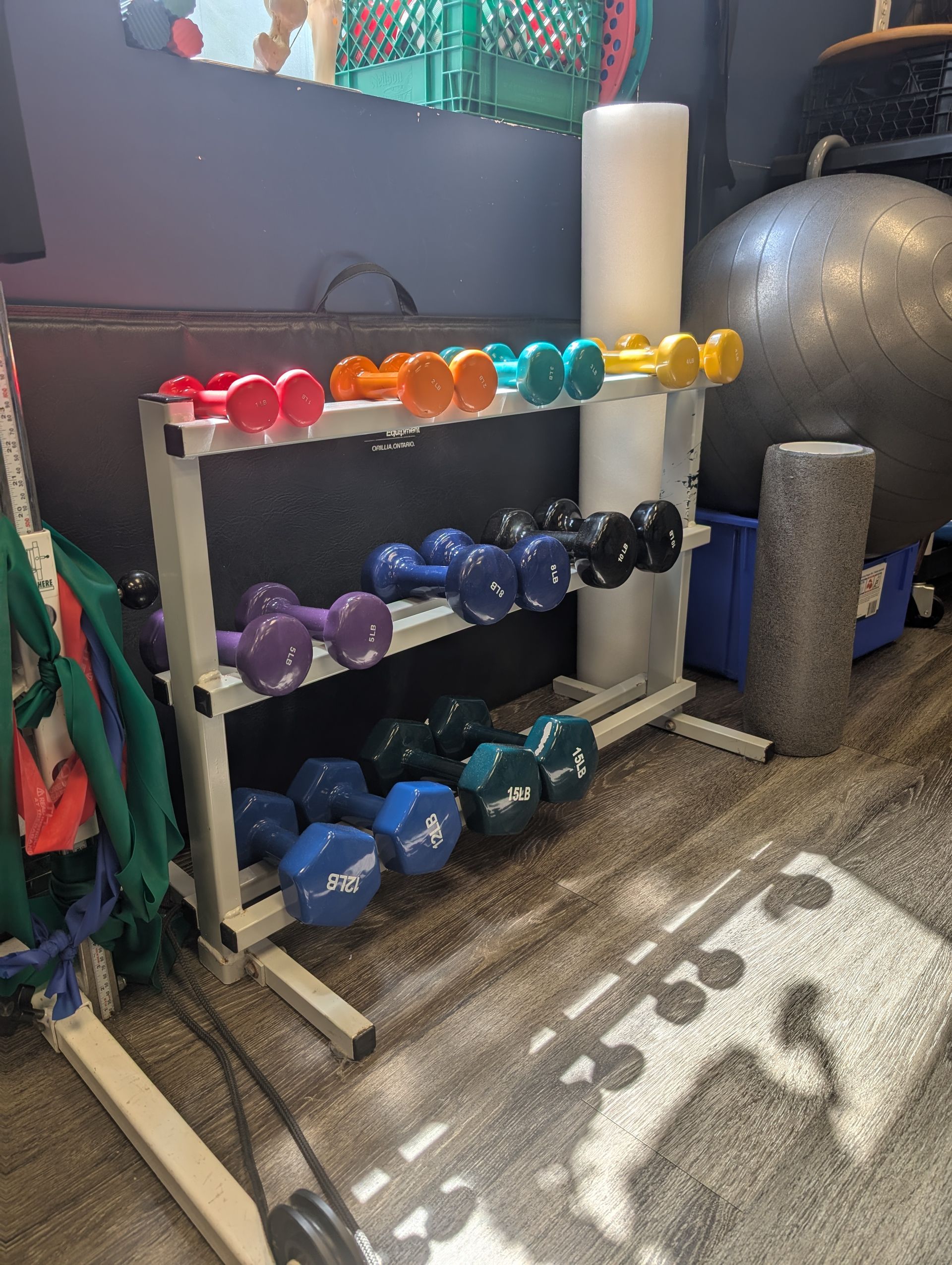 Weights for physiotherapy Essex