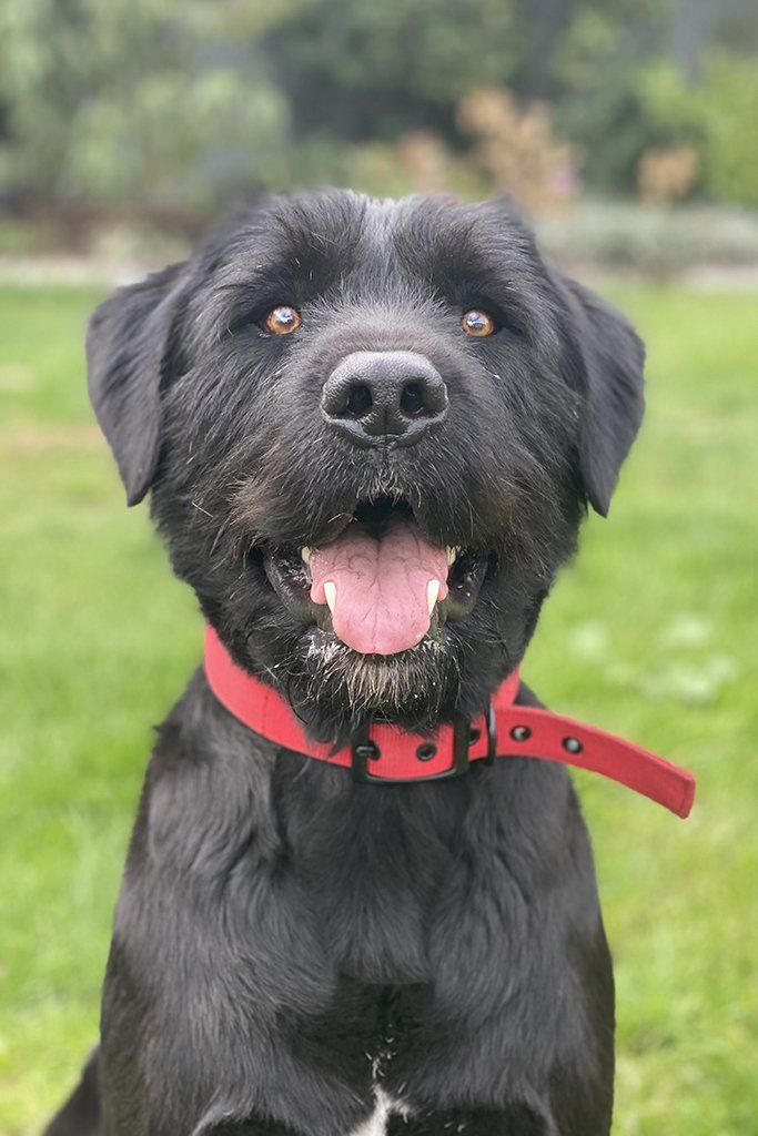 Bodhi Anderson from Anderson Architecture