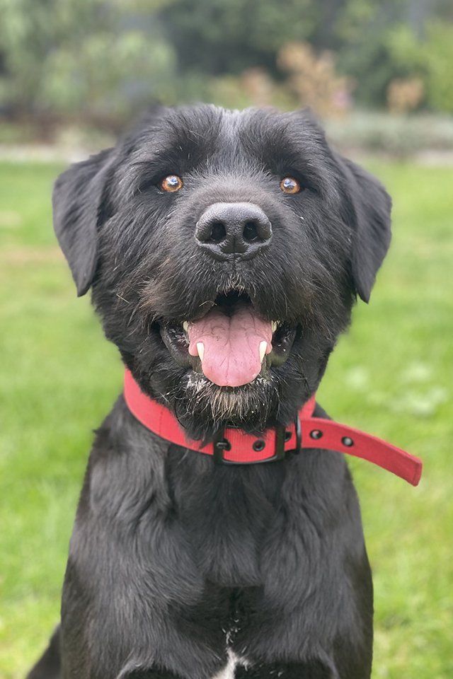 Bodhi  Anderson from Anderson Architecture