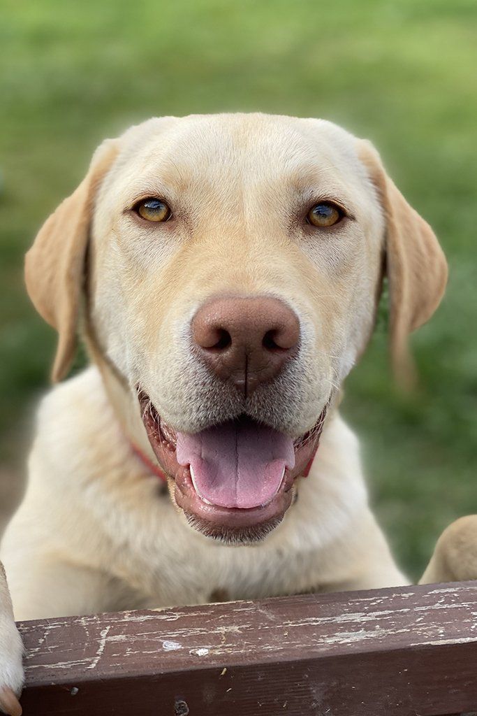 George from Anderson Architecture