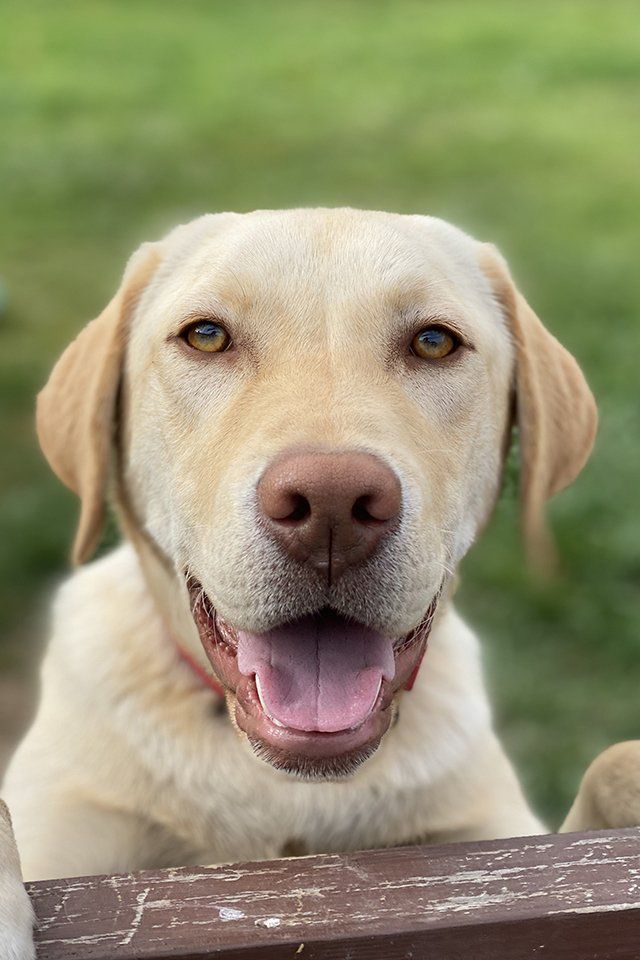 George from Anderson Architecture