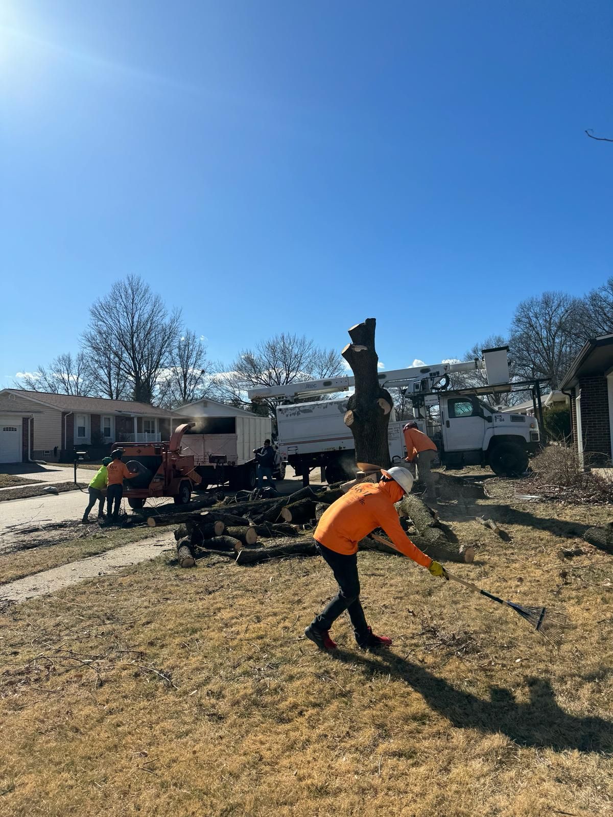 Aft Removing The Tree — St. Charles, MO — A&M Tree Services LLC