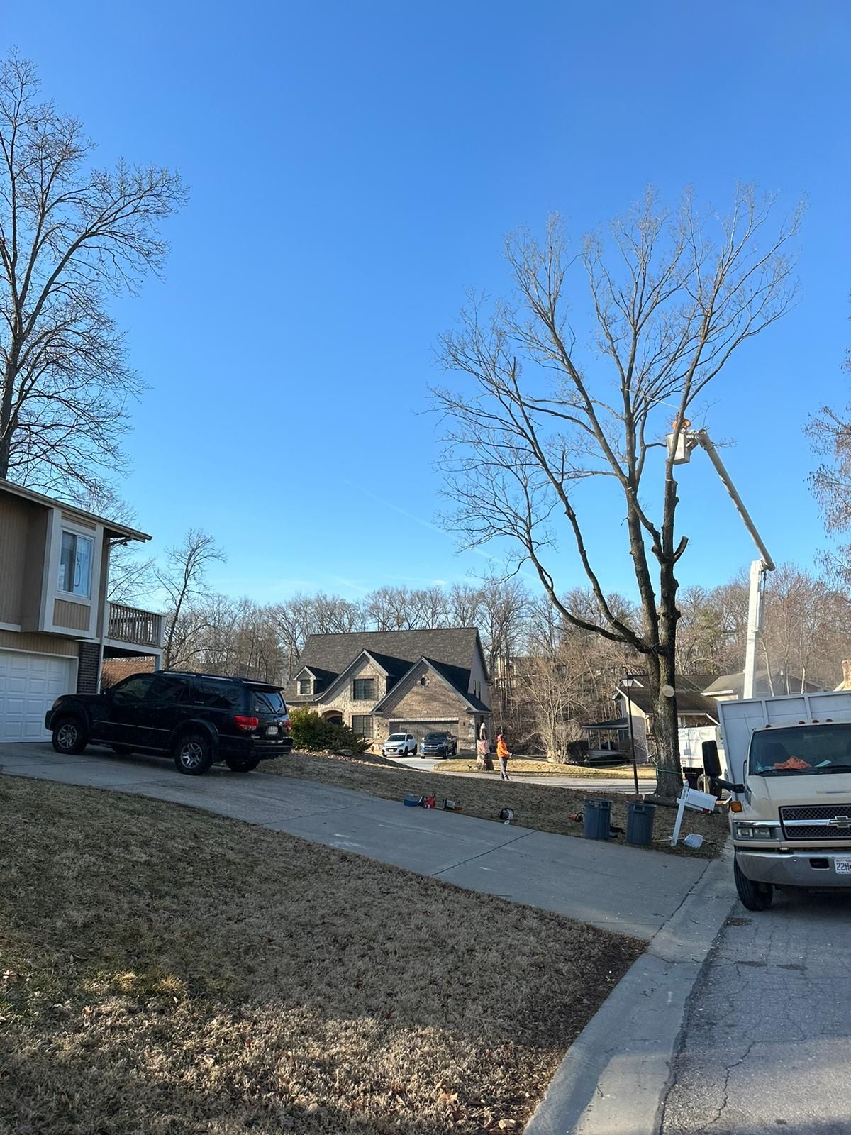After Trimming The Tree — St. Charles, MO — A&M Tree Services LLC