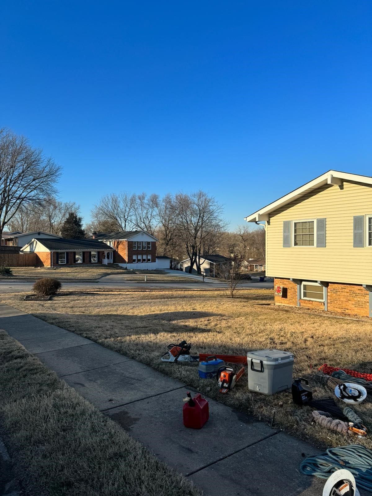 After Renovating the Yard — St. Charles, MO — A&M Tree Services LLC