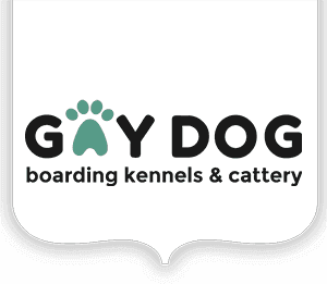 Gay dog logo