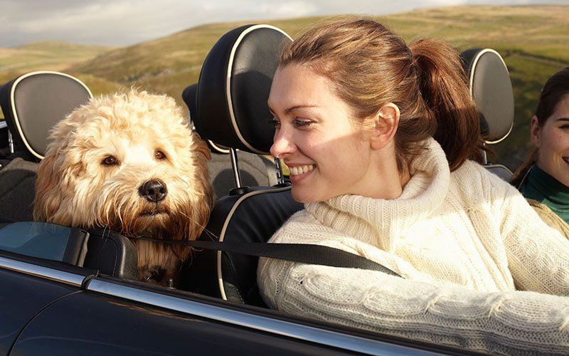 woman and dog driving open top car