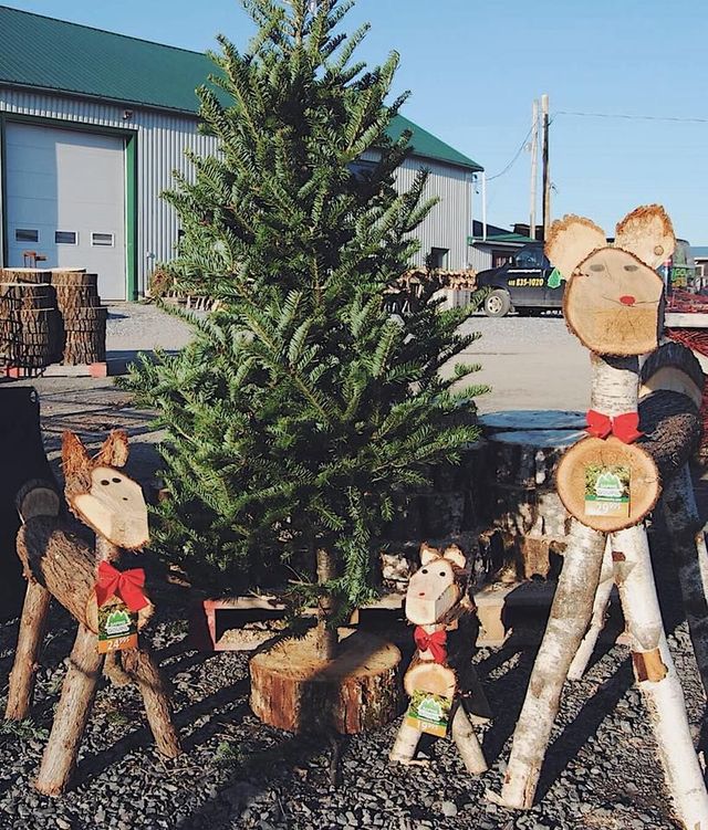 Aménagement Paysager Goupil photo 3