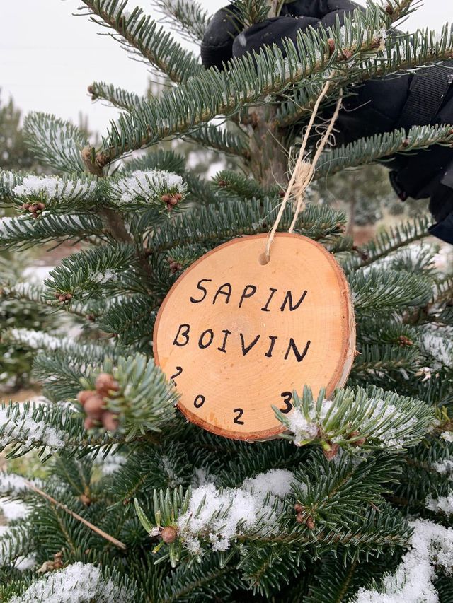 Aménagement Paysager Goupil photo 5