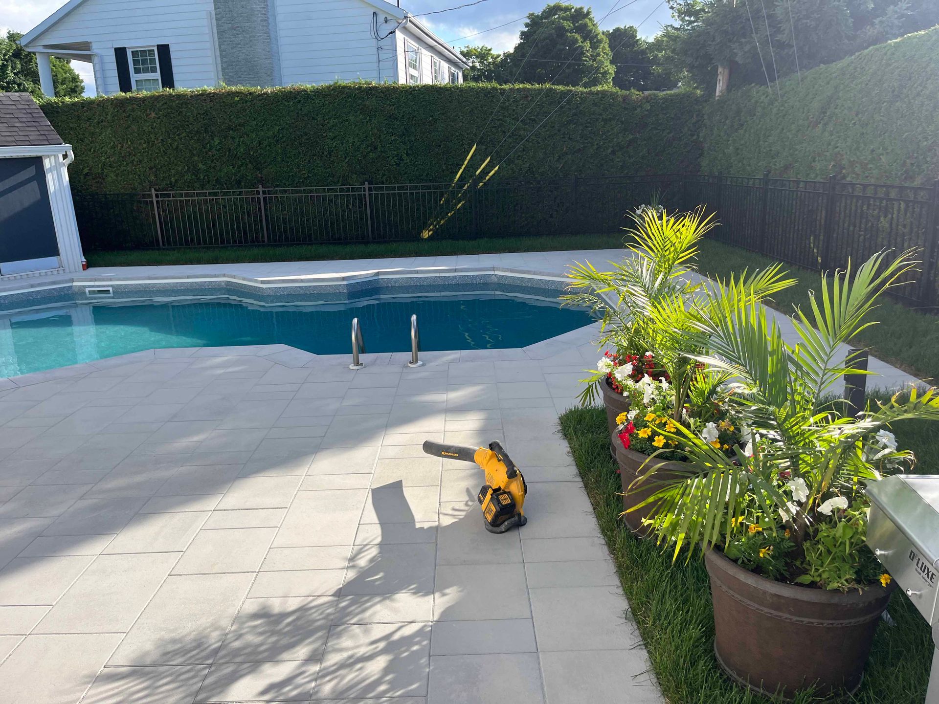 Un espace piscine dans un jardin avec des dalles claires, une haie en arrière-plan et des palmiers en pot au premier plan.