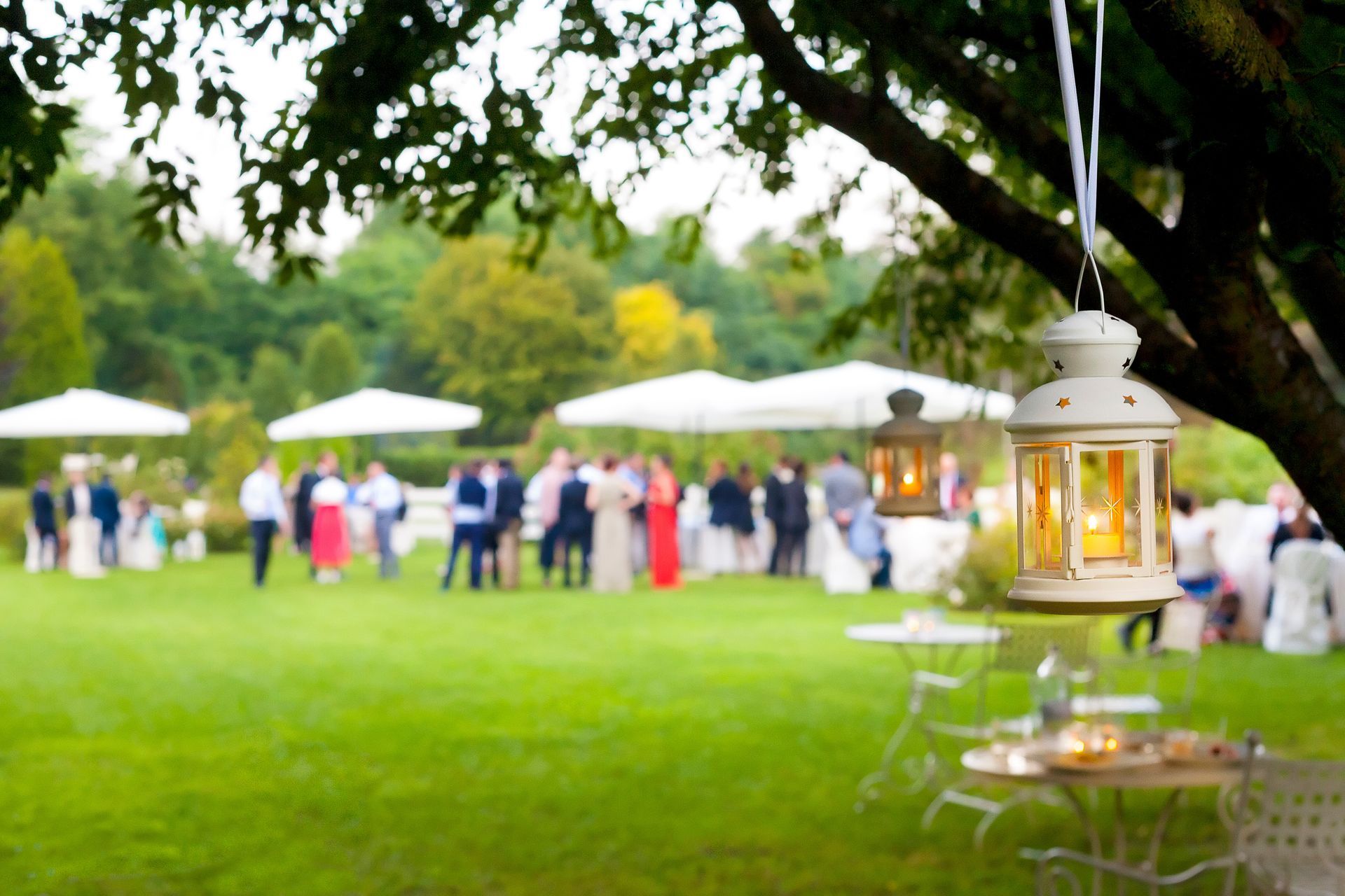 Outdoor event with guests mingling on a lawn, white umbrellas, and a lantern hanging from a tree.