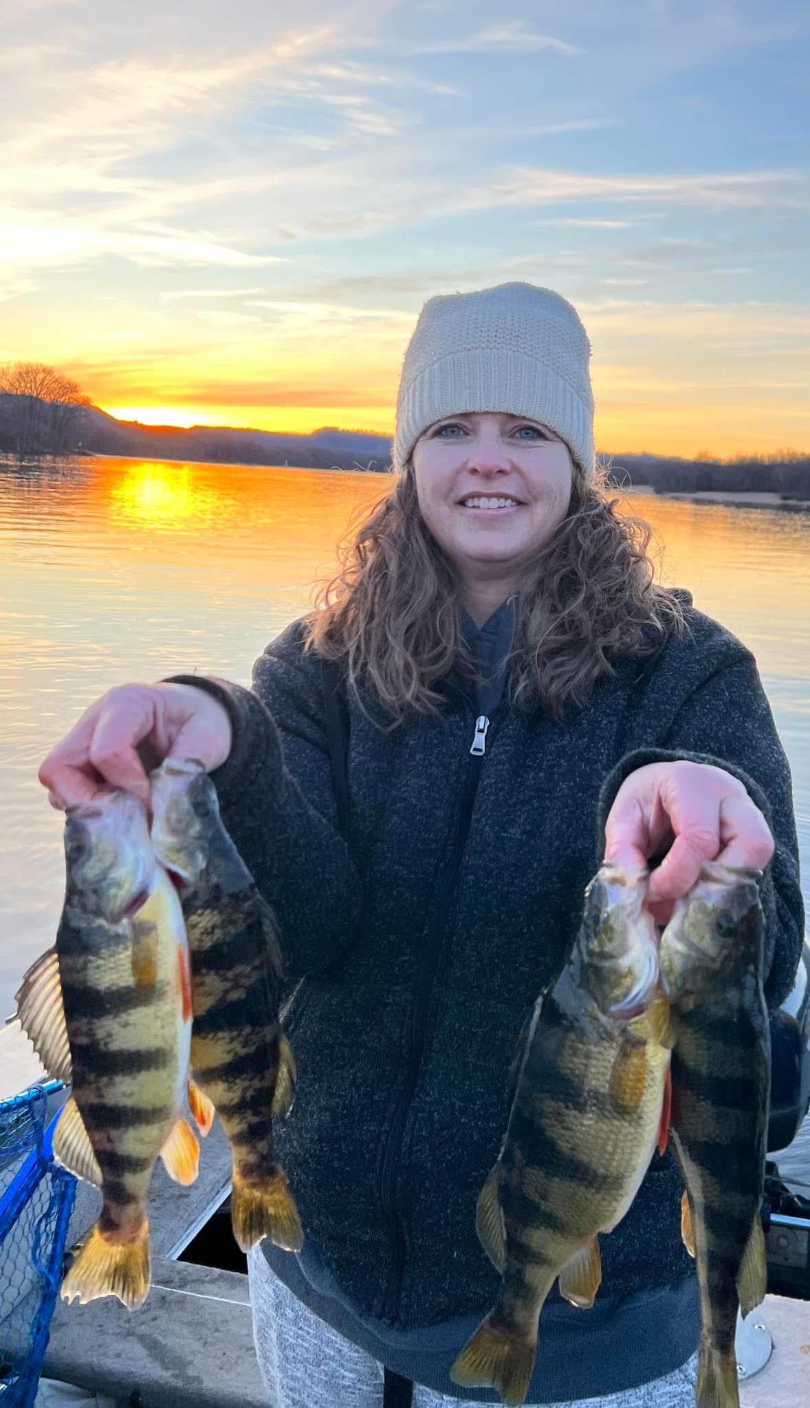 Woman holding up five yellow perch fish at sunset.
