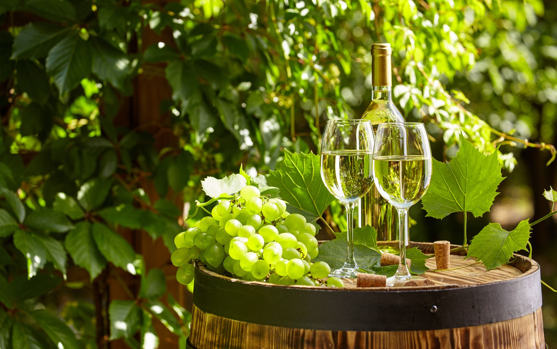 Wine bottle and glasses with grapes on a wooden barrel, outdoors.