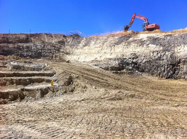 A large excavator is working in a dirt field.