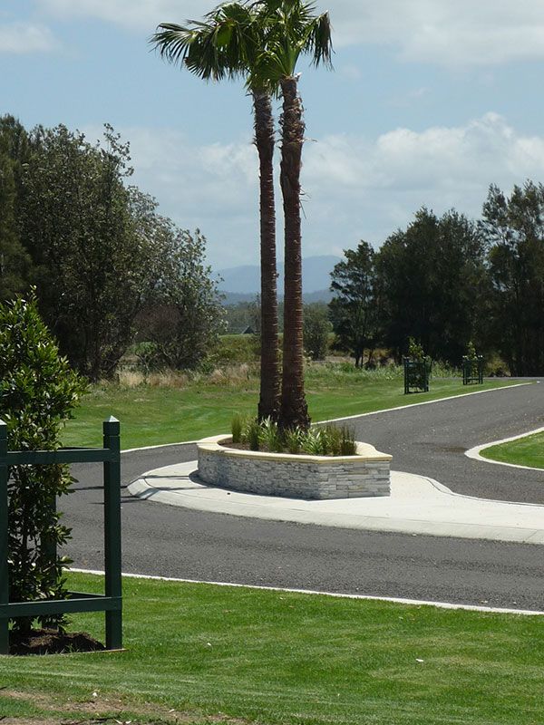 Two palm trees in a planter on the side of a road