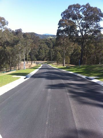 A road going through a residential area with trees on both sides