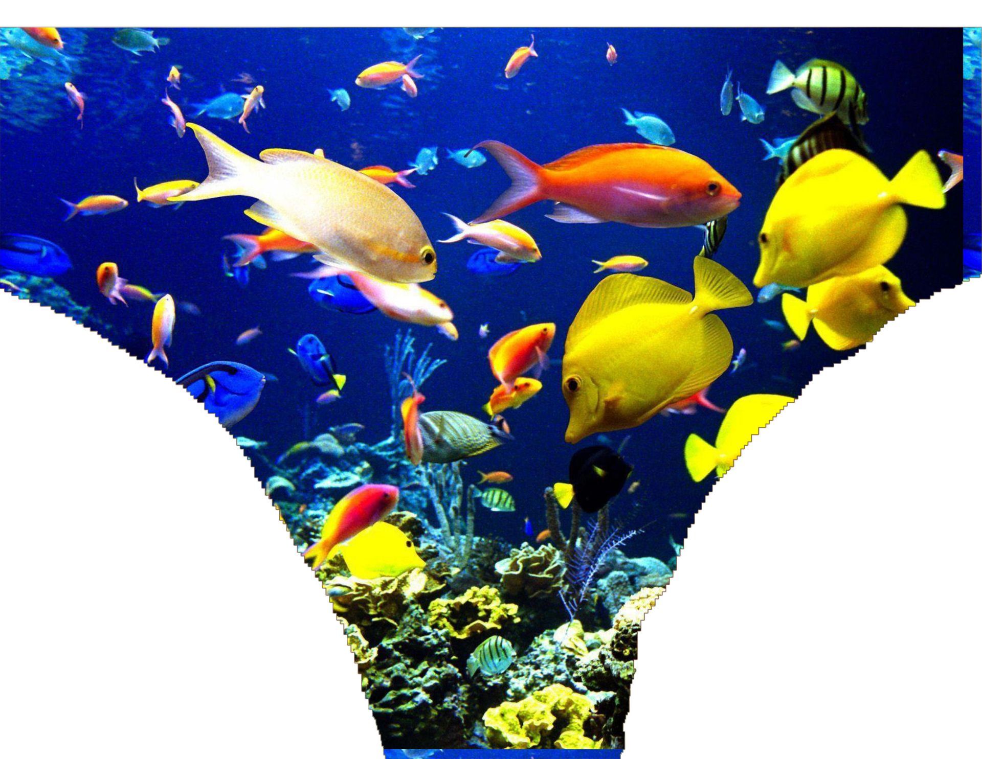 a swimsuit with a picture of fish on it