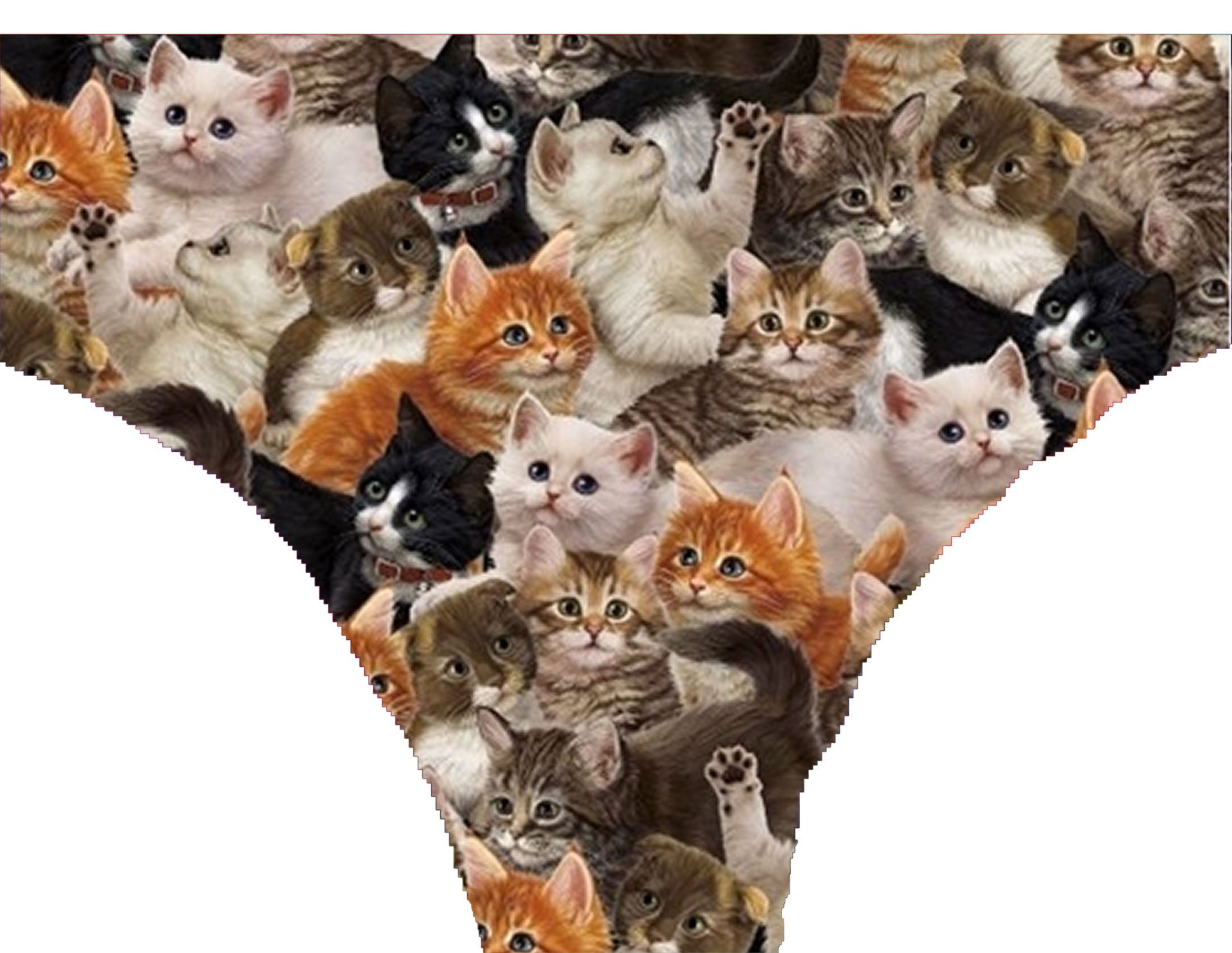 a thong with a pattern of cats on it