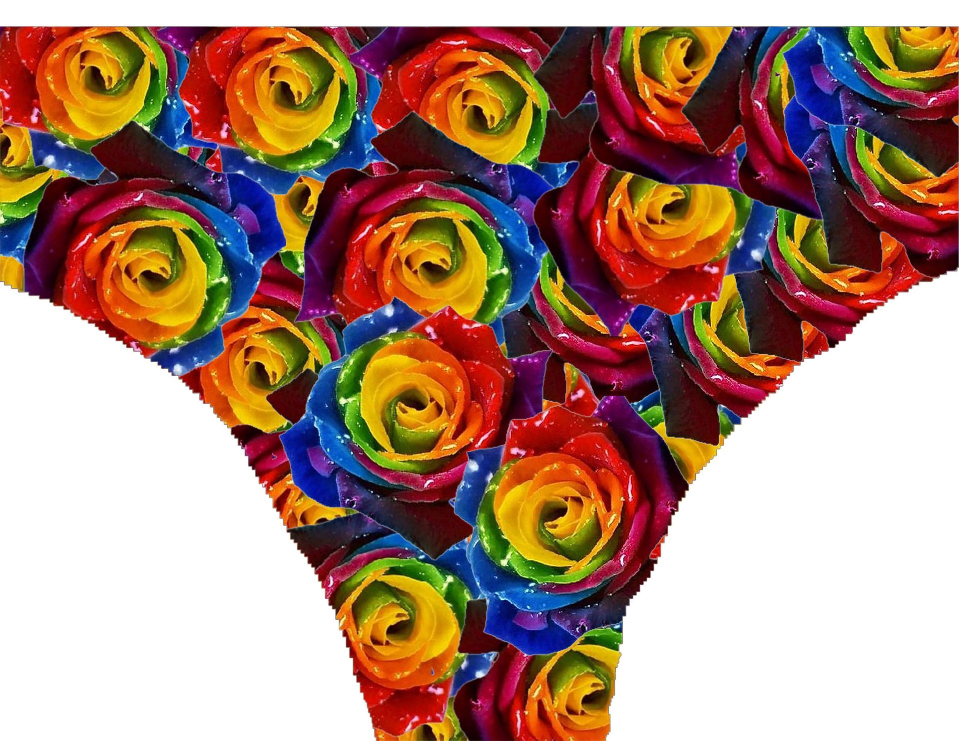 a thong with rainbow colored roses on it