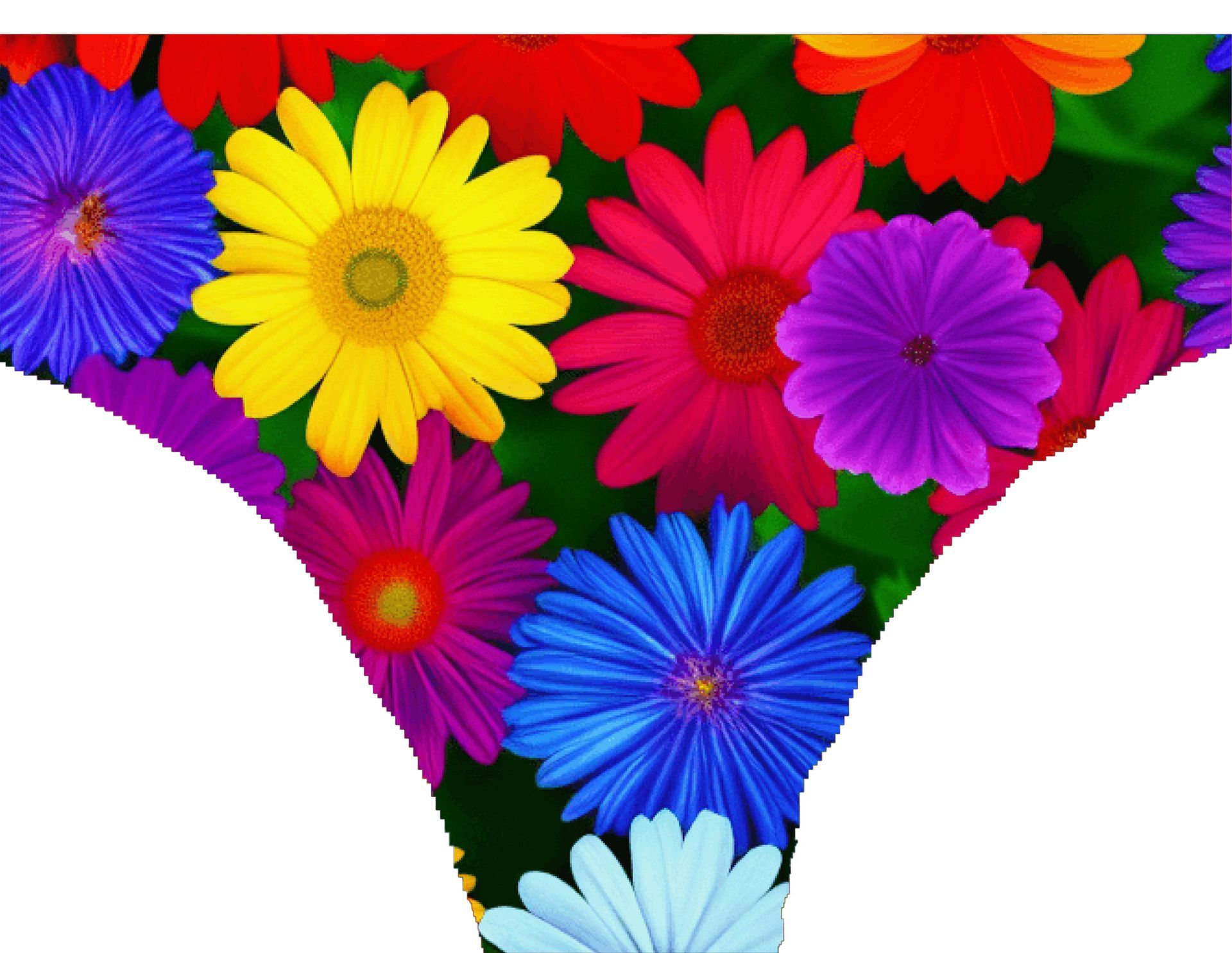 a bunch of colorful flowers on a green background