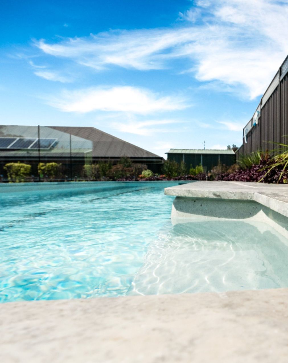A Large Swimming Pool With Plants On the Side — Swimming Pool in Port Stephens, NSW