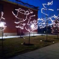 Trees wrapped in white lights beside a brick building at dusk, with a sidewalk and grass foreground