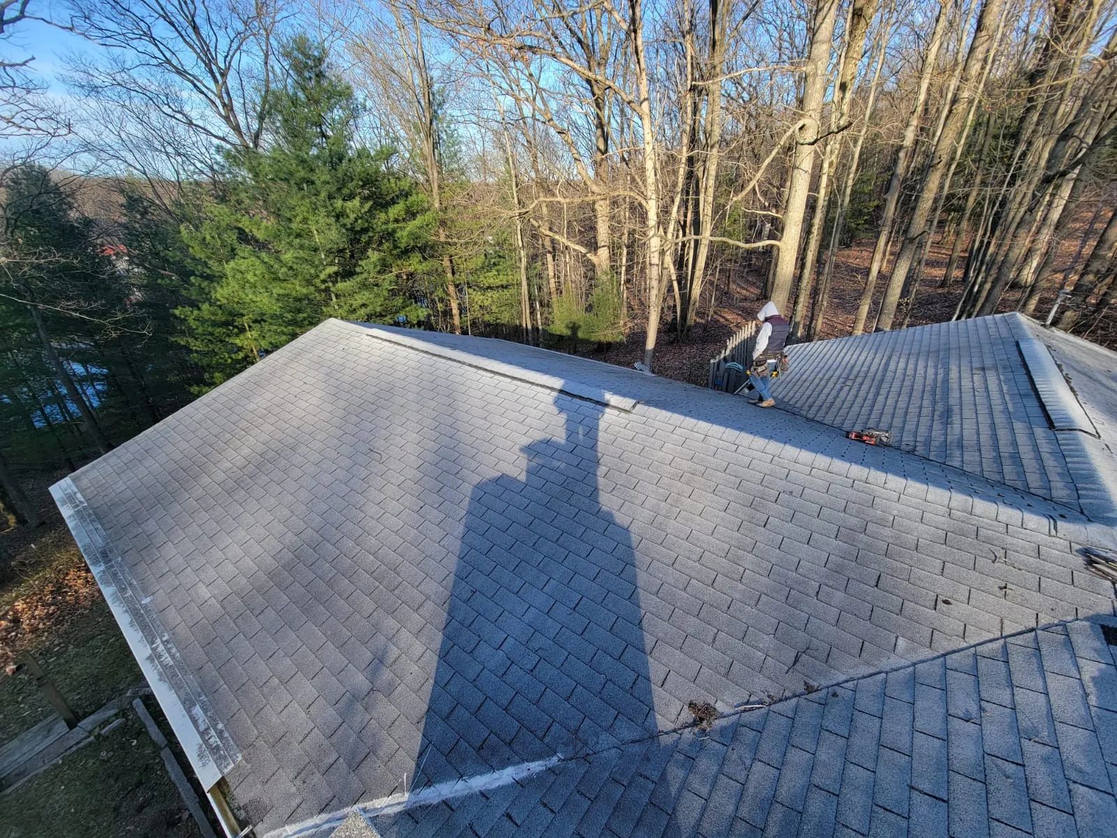 Construction services 81