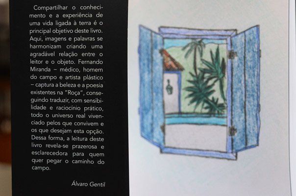 Orientação ao autor: Avaliação de originais e sugestões editoriais.