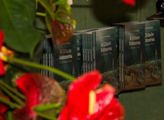 Distribuição e comercialização: Planejamento da distribuição para livrarias e apoio à realização de eventos de lançamento e comercialização.