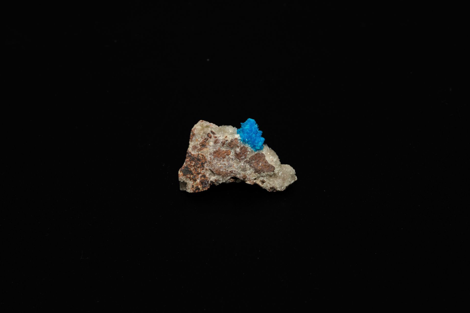 Blue crystal cluster on a brown and gray rock against a black background.