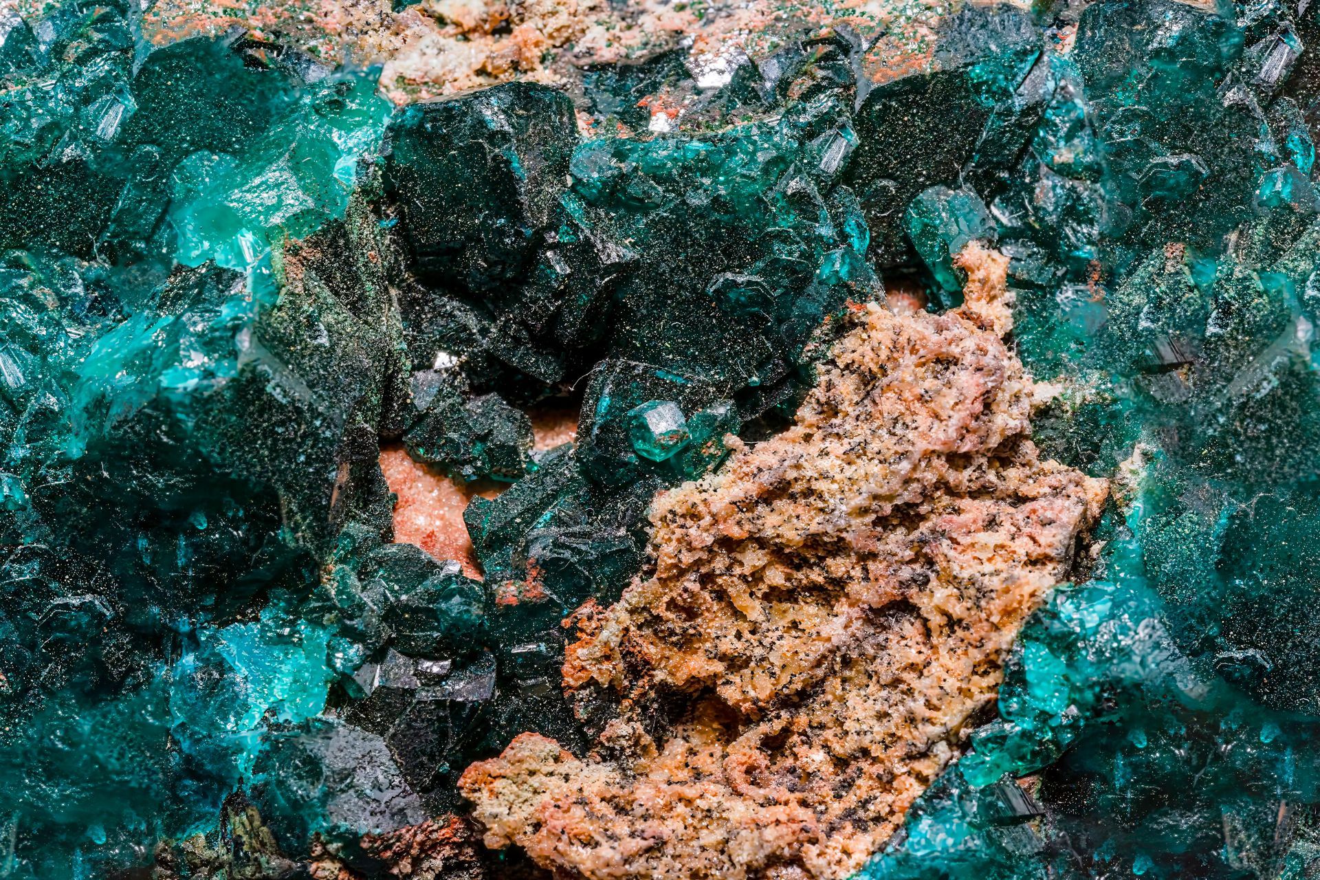 Close-up of vibrant green mineral crystals clustered with a porous, tan-colored rock formation.