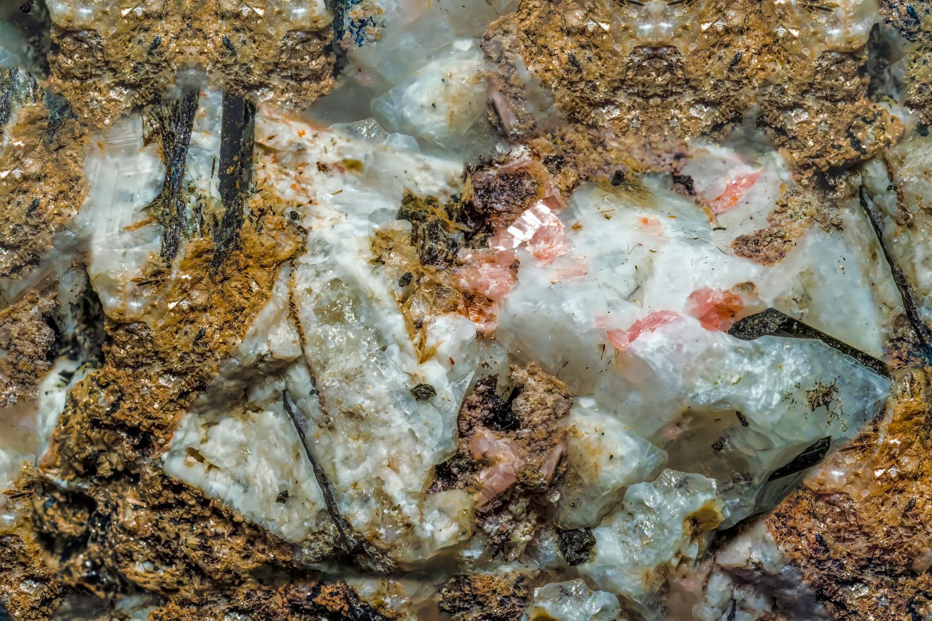 Close-up of a rock with white, brown, and tan textures. Some small red mineral inclusions.