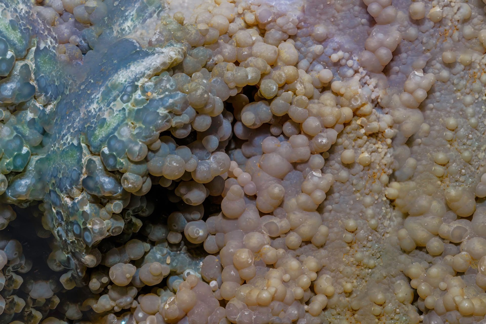 Close-up of a cave wall with clusters of round, light-colored formations. Some areas have a bluish-green hue.