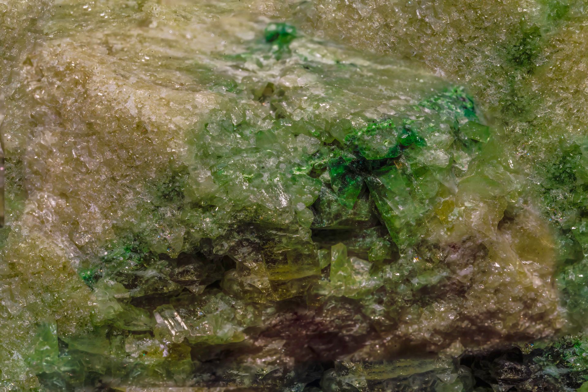 Close-up of a mineral specimen with green crystals and a tan matrix.