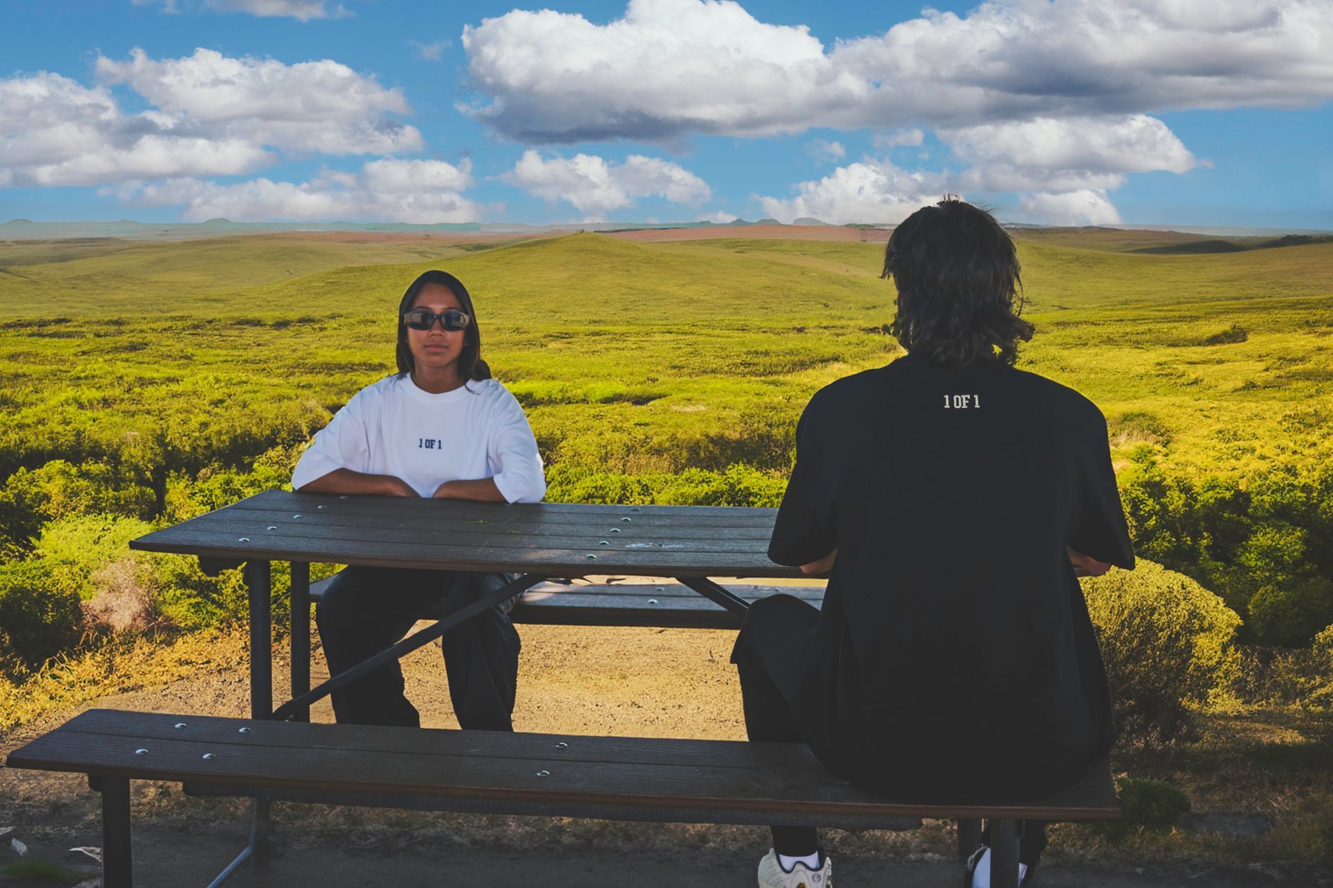 Two people sit at a picnic table overlooking a green field under a blue, cloudy sky.