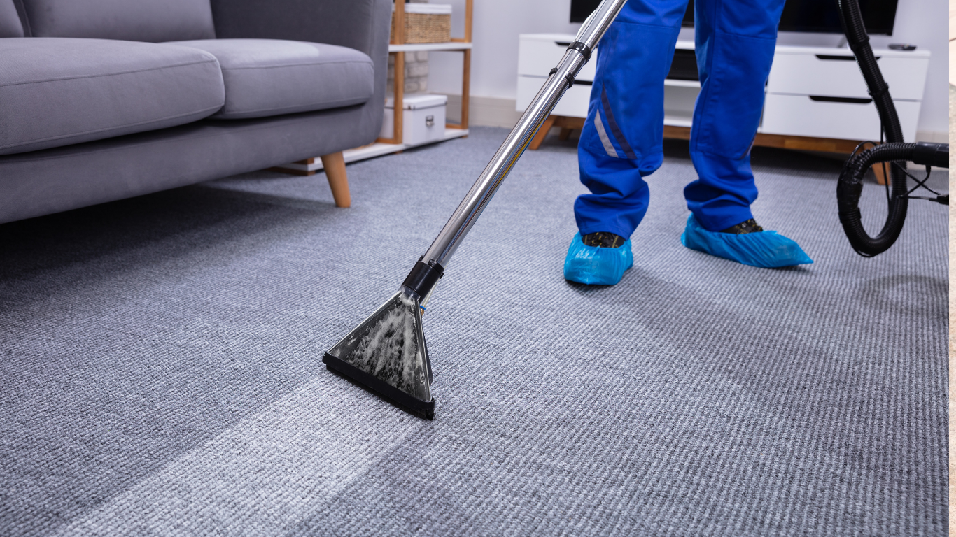 Person cleaning a gray carpet with a professional carpet cleaner, leaving a clean path.
