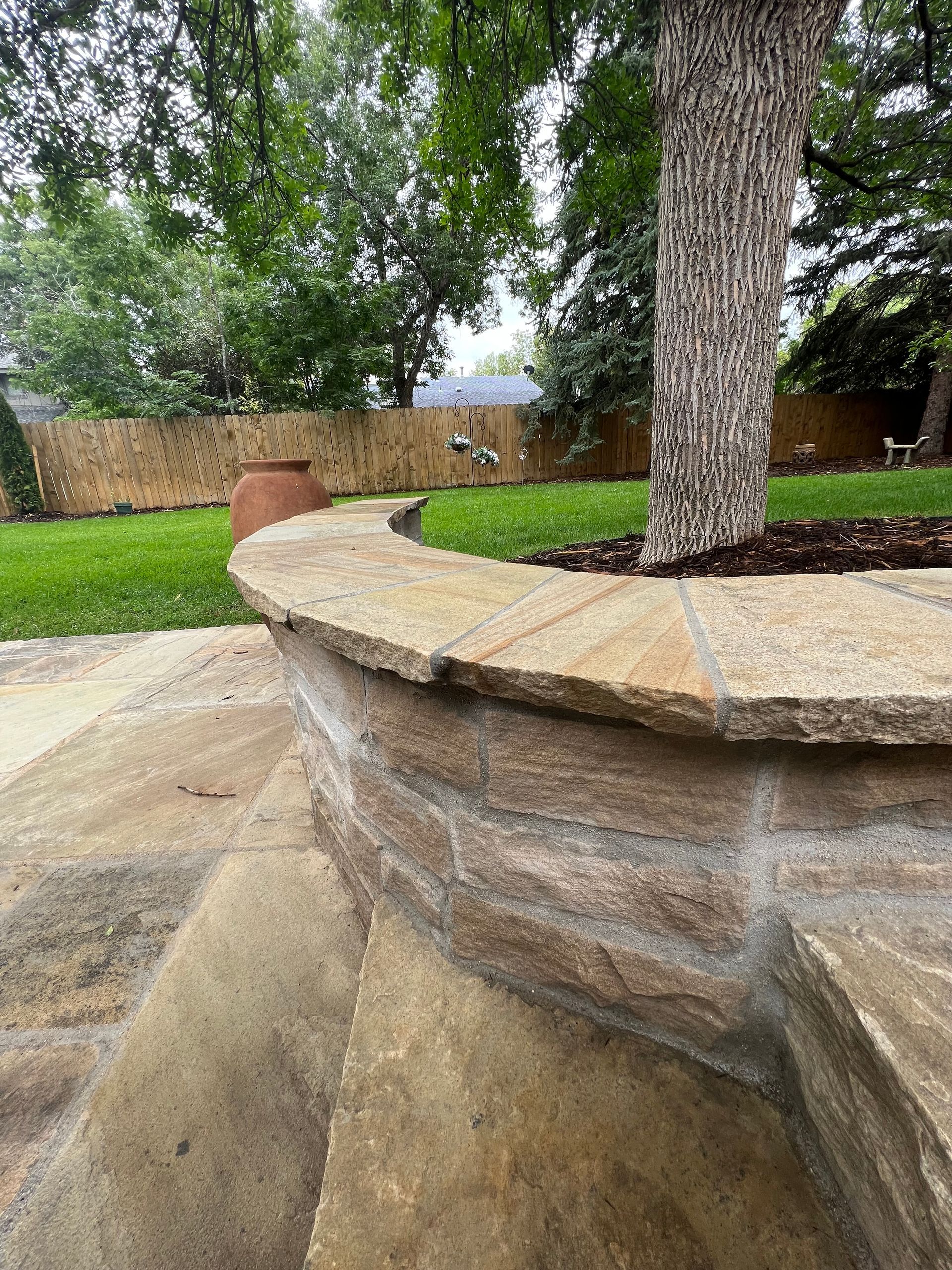 There is a tree in the middle of the backyard.